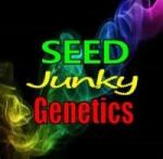 Logo Seed Junky Genetics