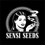 Logo Sensi Seeds