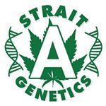 Logo Strait A Genetics