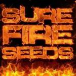 Logo Sure Fire Seeds