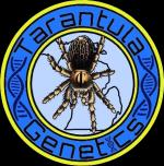 Logo Tarantula Genetics
