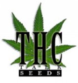 Logo Team THCtalk Seeds