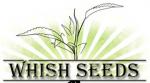 Logo Whish Seeds