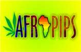 Afropips Seeds Durban Poison