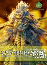 Alphakronik Genes Stephen Hawking Kush