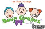 Apothecary Genetics Sour Grapes
