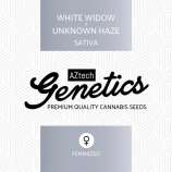Aztech Genetics White Widow x Unknown Haze