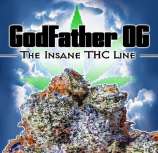 Big Dog Exotic Cannabis Seeds Godfather OG CBD