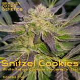 Bradley Danks Snitzel Cookies