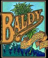 British Columbia Seed Company Baldy