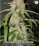 Capulator Miracle Grow