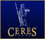 Ceres Seeds Orange Bud