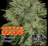 Crockett Family Farms Tangielope