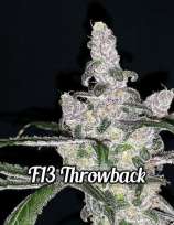 F 13 throwback seeds