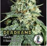 Dominion Seed Company Deadband