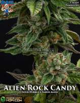 Dr. Blaze Alien Rock Candy