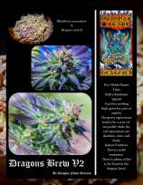 Dragons Flame Genetics Dragon's Brew