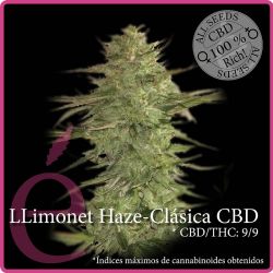Llimonet Haze CBD (Élite Seeds) :: Cannabis Strain Info