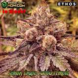 Ethos Genetics Lemon Grape Bubba Temple