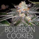 Exclusive Seeds Bourbon Cookies