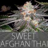 Exclusive Seeds Sweet Afghan Thai