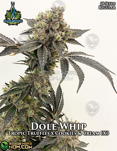 Dole Whip (Exotic Genetix) :: Cannabis Strain Info