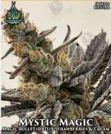 Exotic Genetix Mystic Magic