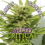 Family Ganjah Auto Critical Man