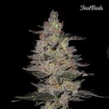 Fast Buds Company FastBerry