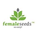 Female Seeds Auto AK