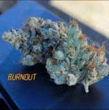 Fresh Coast Seed Company Burn Out