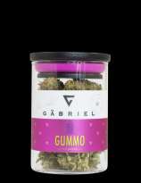 Gabriel Cannabis Gummo