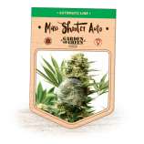 Garden of Green Mass Shooter Auto