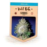 Garden of Green Violet Kush