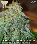 GibbsKutz Genetics Gorilla Skunk Surprise