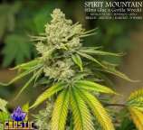 Gnostic Seeds Spirit Mountain
