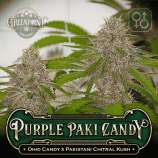 Greenpoint Seeds Purple Paki Candy