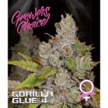 Growers Choice Gorilla Glue 4