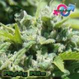 Growers Choice Mighty Mite