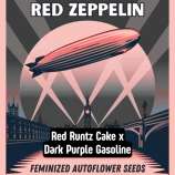 Happy Bird Seeds Red Zeppelin
