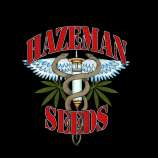 Hazeman Seeds 88 G-13 Hashplant