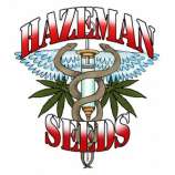 Hazeman Seeds Blue Band