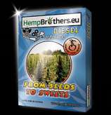 Hempbrothers Diesel Automatic