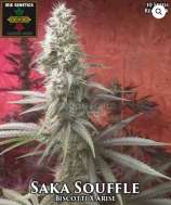 Irie Genetics Saka Souffle