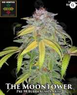 Irie Genetics The MoonTower