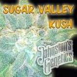 Johnston's Genetics Sugar Valley Kush