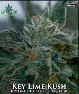 Katsu Seeds Key Lime Kush