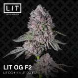 Lit Farms Lit OG