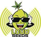 Loud Seeds Loud Lemonade