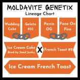 Moldavite Genetix French Toast Ice Cream